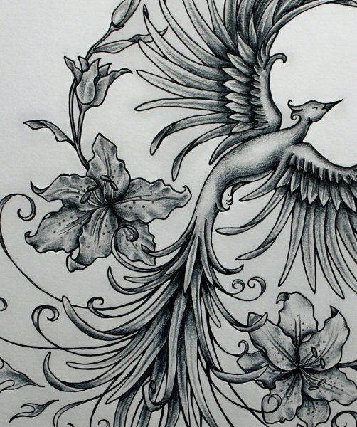 Феникс рисунок