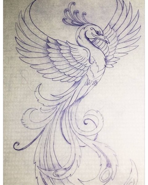 Феникс эскиз