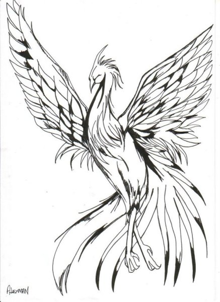 Стилизованный Павлин