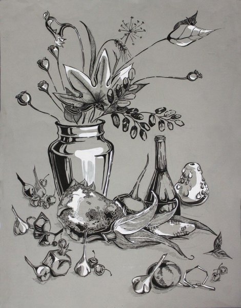 Наброски растений в горшке