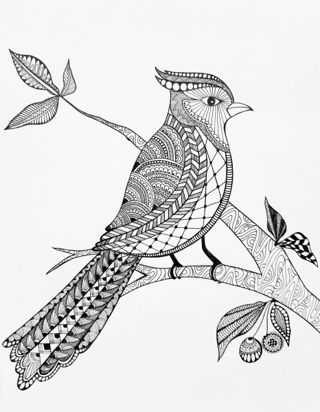 Птицы в стиле Зентангл