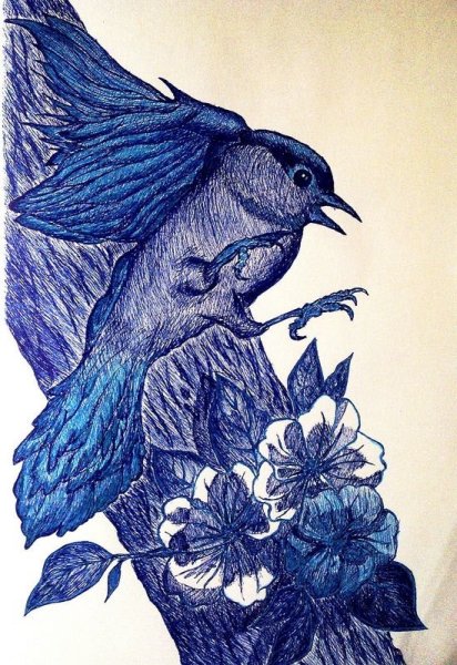 Скетчи ручкой птицы