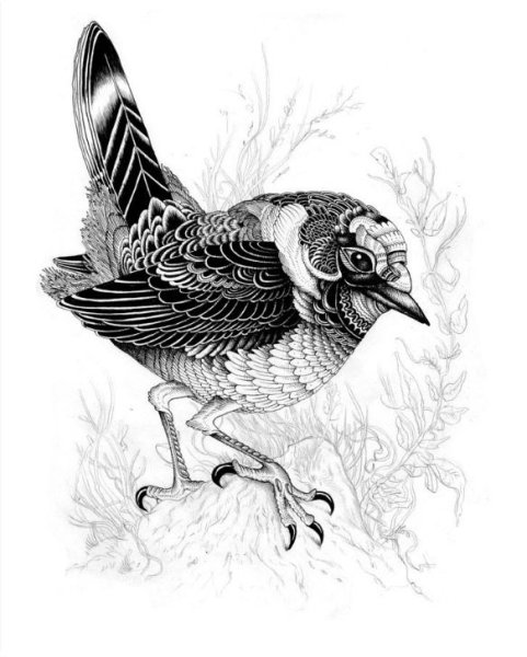 Стилизованные птицы Графика