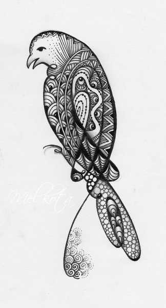 Птицы нарисованные ручкой