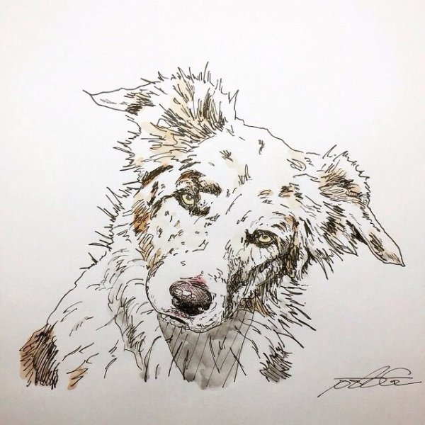 Зарисовки животных гелевой ручкой