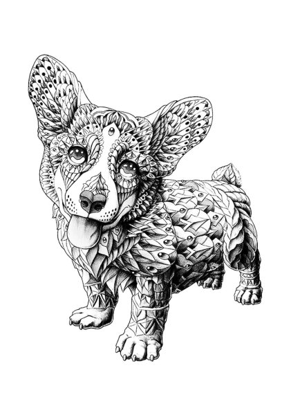 Раскраска-антистресс. Собака