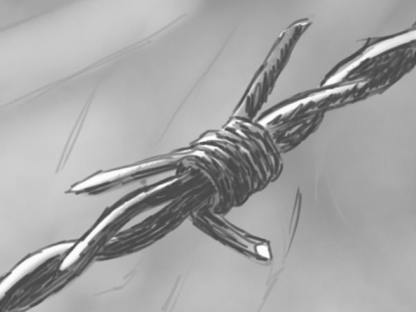 Колючая проволока для рисования