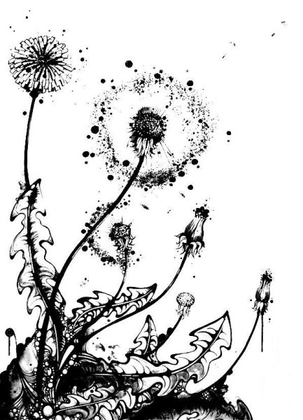 Одуванчик рисунок ручкой