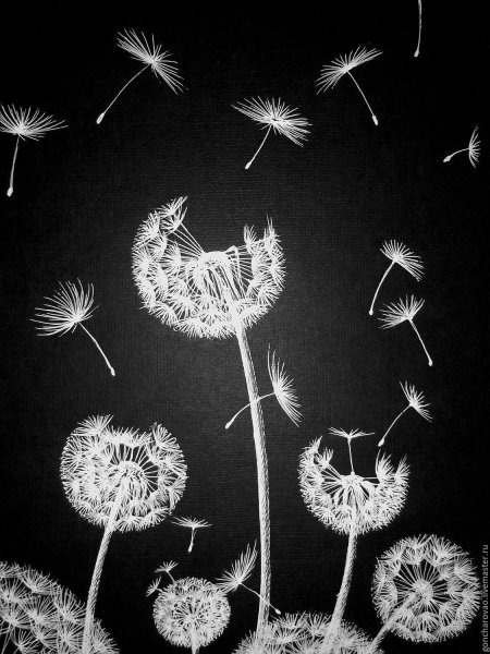 Одуванчик Графика