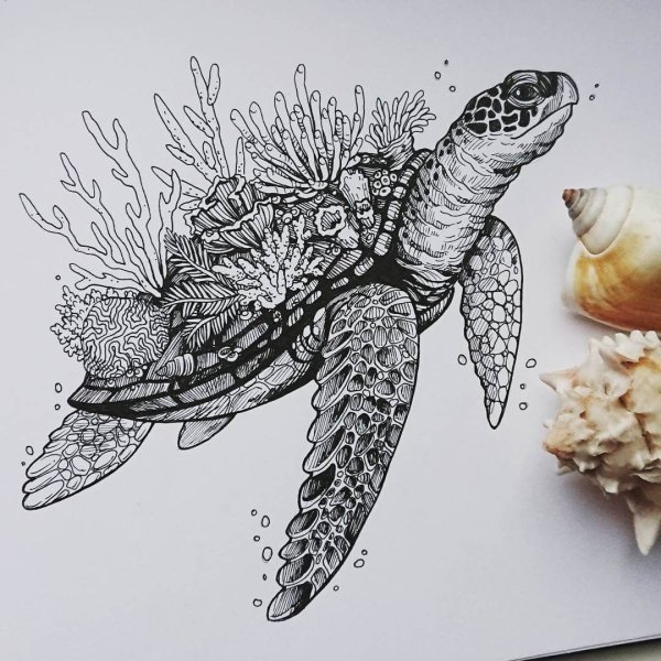 Рисование гелевой ручкой