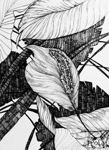 Графика рисунки черно белые