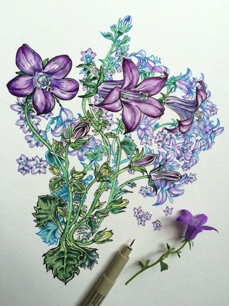 Цветы ручкой