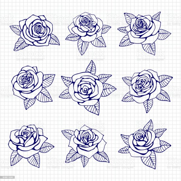 Роза в тетради ручкой