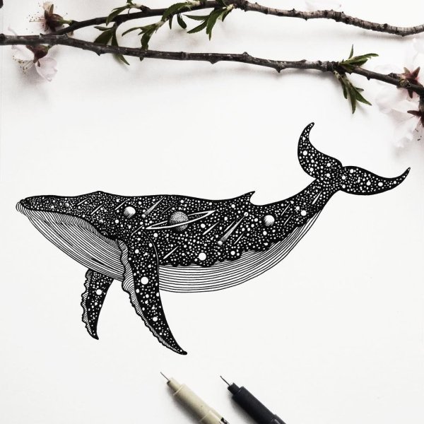 Тату кит эскиз