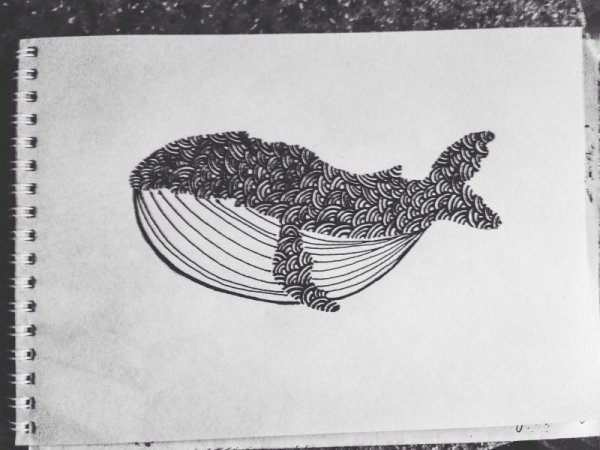 Кит рисунок ручкой