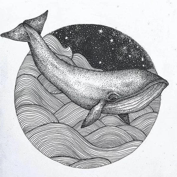 Эскизы китов