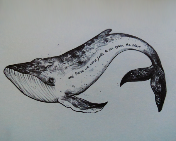 Кит рисунок черной ручкой