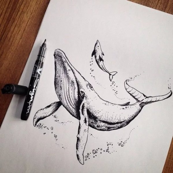 Эскизы китов