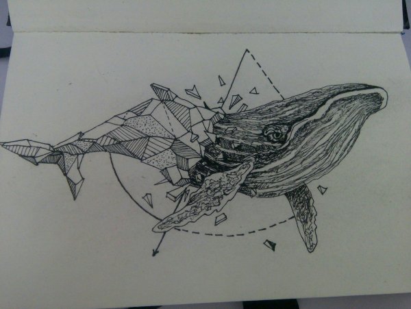 Тату кит эскиз