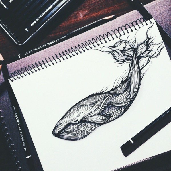 Кит тату ручкой