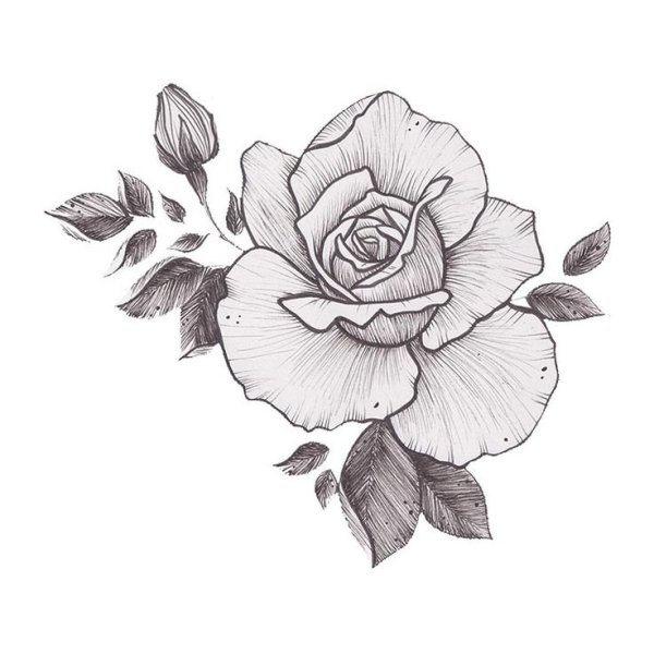 Цветы нарисованные ручкой