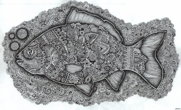 Дудлинг рыба