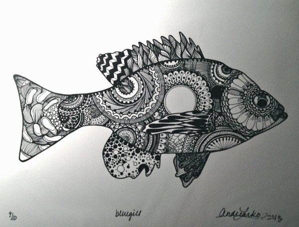 Зенарт рыбки