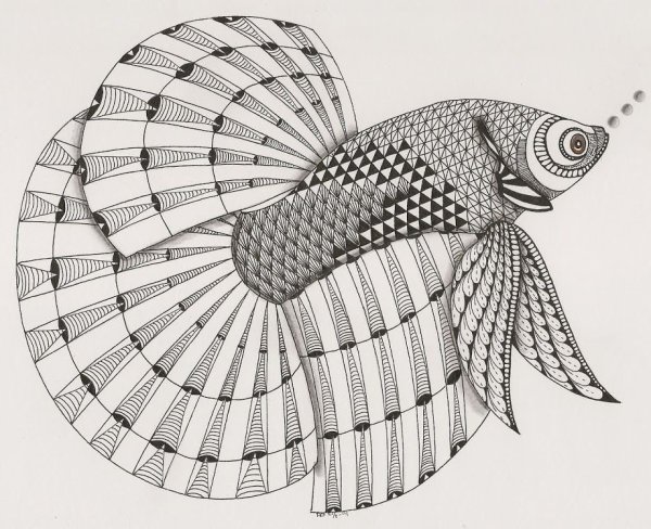 Золотая рыбка Зентангл