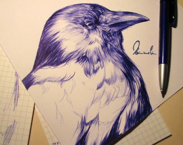 Птица шариковой ручкой