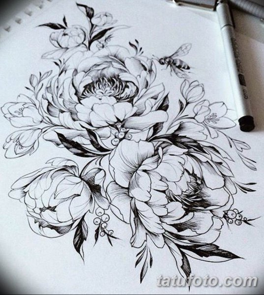 Пионы эскиз