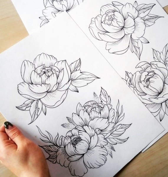 Пионы гелевой ручкой