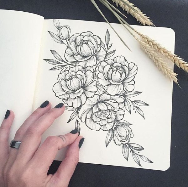 Цветы черной ручкой