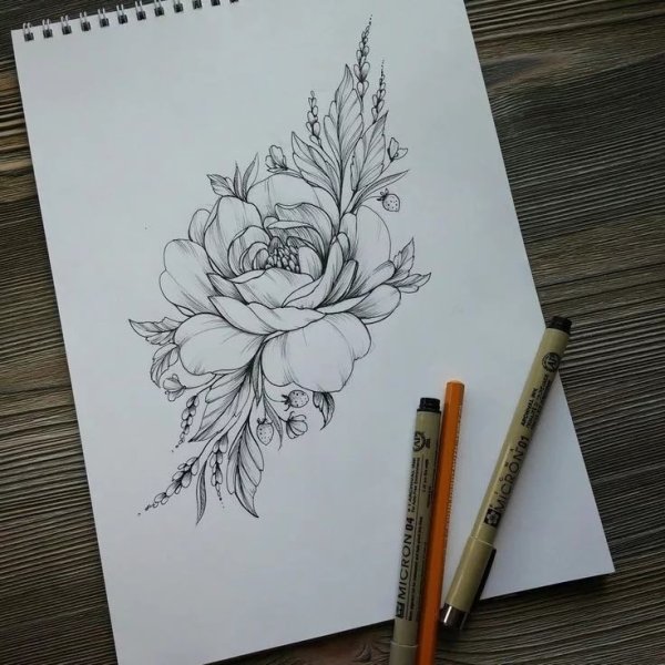 Пионы лайнворк эскиз