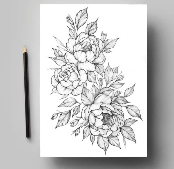 Пионы випшейдинг тату эскизы