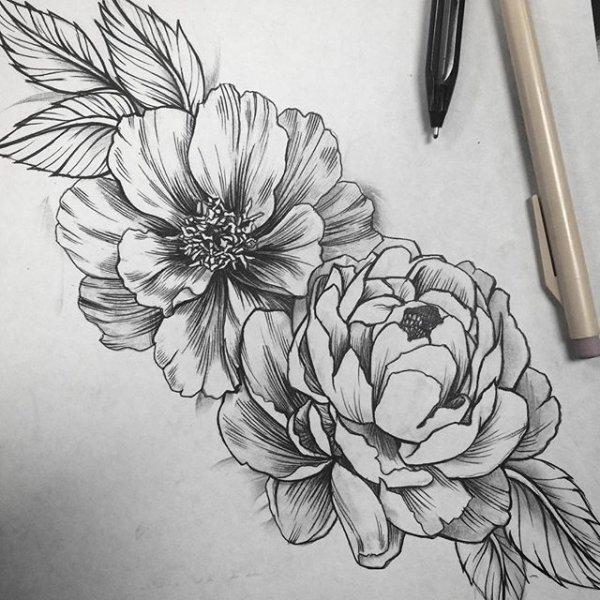 Пионы карандашом тату
