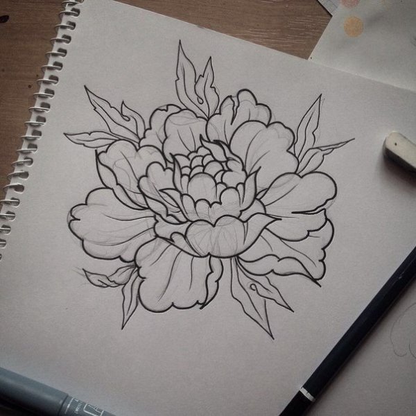Зарисовка ручкой пион
