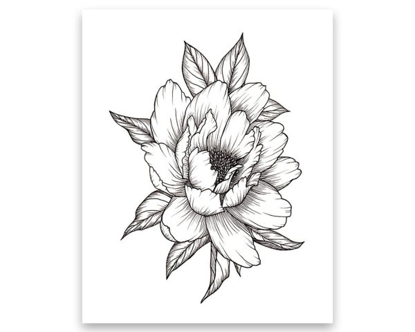 Эскиз тату пионы