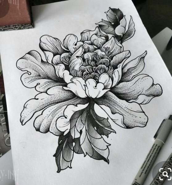 Цветы черной гелевой ручкой