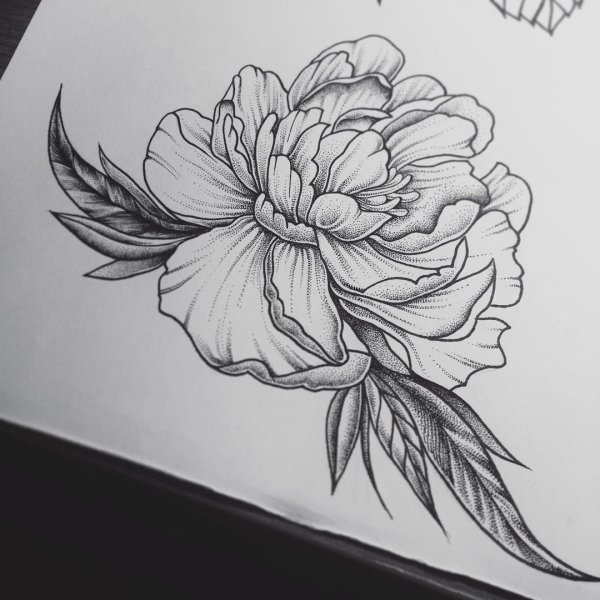 Тату пионы дотворк