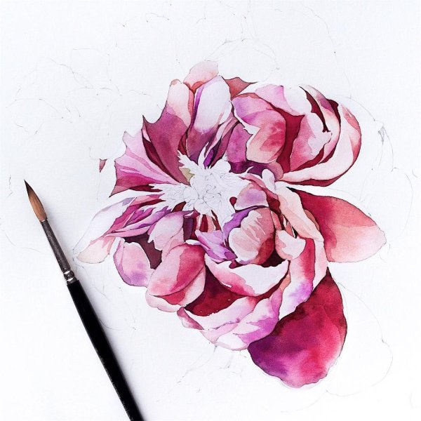 Цветы акварелью и черной ручкой