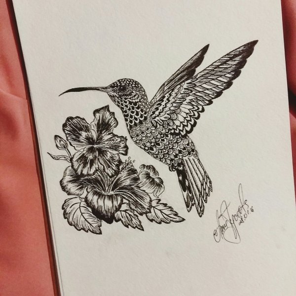 Колибри ручкой