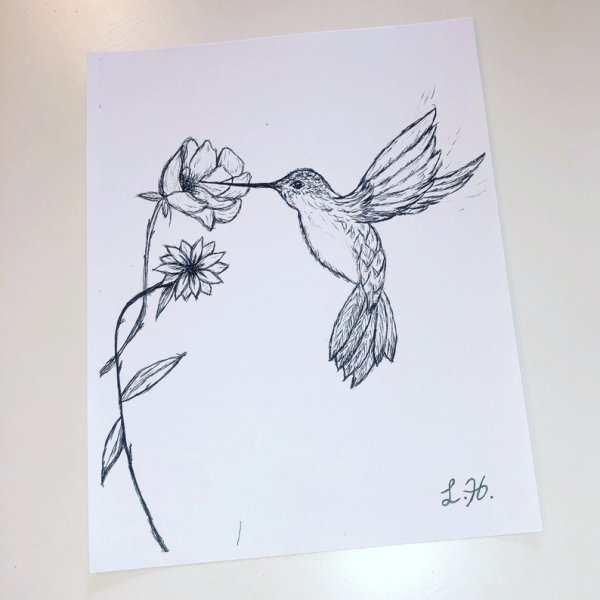 Колибри ручкой