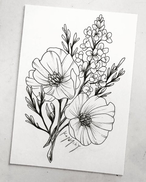 Полевые цветы эскиз