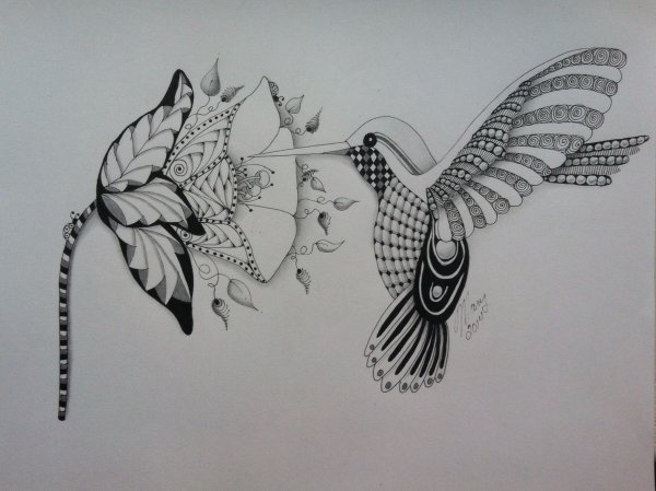 Стилизация птиц в графике