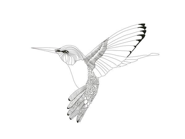 Тату Колибри