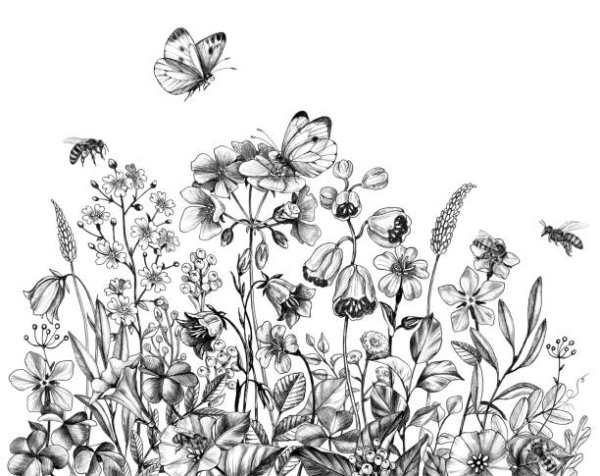 Графические изображения пчёл и растений