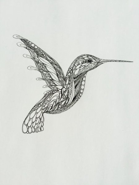 Дудлинг Колибри