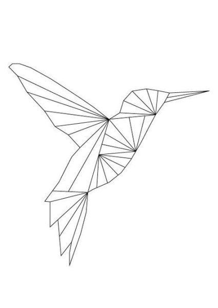 Колибри геометрия