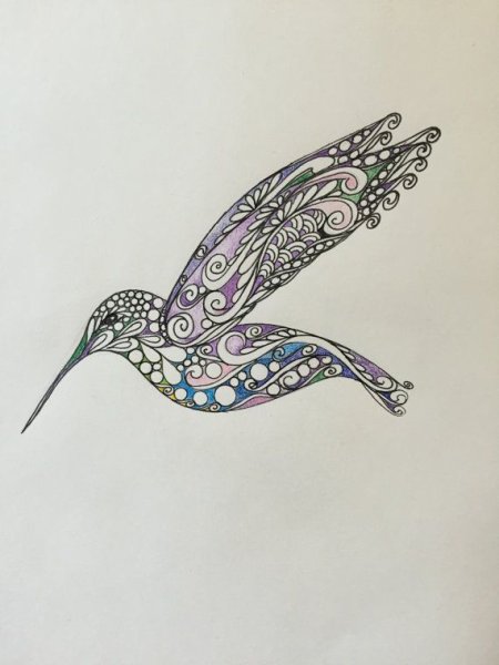 Колибри рисунок Зентангл