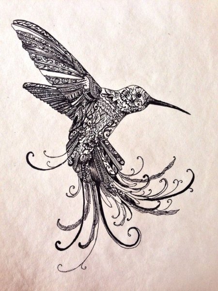 Стилизованная птичка Колибри